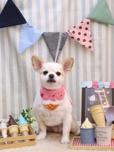 20250518モナちゃん